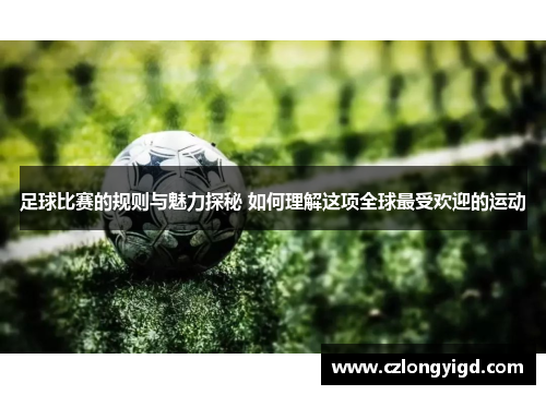 足球比赛的规则与魅力探秘 如何理解这项全球最受欢迎的运动